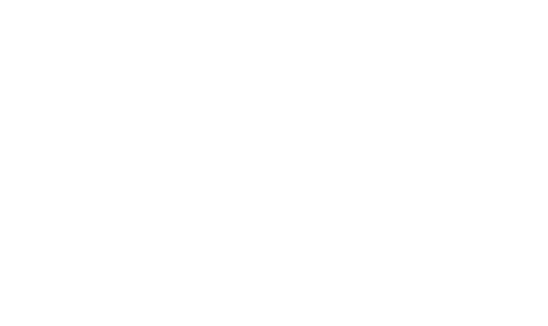 NMSDC_White_Logo